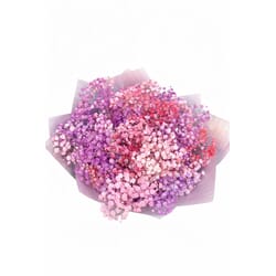 Ziedu pušķis, ar plīvurpuķēm