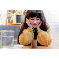 Podiņš, ar priedes sēklām, 7x 6,5x13cm