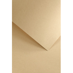 Dizaina papīrs A4 Dark Beige Nature, gaiši  brūns, 120g/m2, 50 loksnes