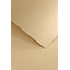 Dizaina papīrs A4 Dark Beige Nature, gaiši  brūns, 120g/m2, 50 loksnes (1)