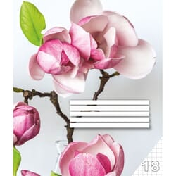 Burtnīca rūtiņu, 18 lapas, Centrum