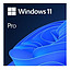 Programmatūra Windows 11 Pro 64bit, ENG (1)