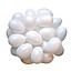 Plastmasas olas, 25gab., Playbox (1)