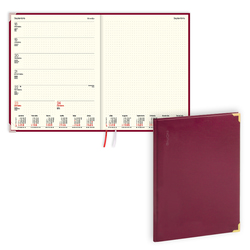 Plānotājs Fortune, basis, bordo, BPG (20050202)