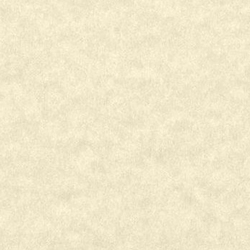 Dizaina papīrs A4 Marina Conchiglia, krēma, 175 g/m², 25 loksnes