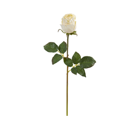 Roze, balta, 50cm, 1gab