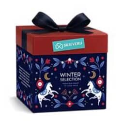 Ziemassvētku dāvana bērniem, Ziemas Izlase, Skrīveru saldumi, 480g