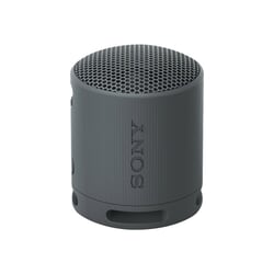 Bezvadu skaļrunis Sony XB100, Bluetooth 5.3, melns