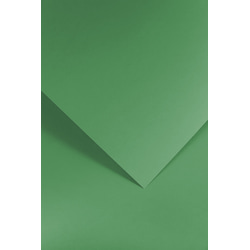 Dizaina kartons A4 Smooth Green, zaļš, 210g/m2, 20 loksnes