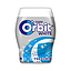 Košļājamā gumija Orbit, Fresh Mint, 46gab. (1)