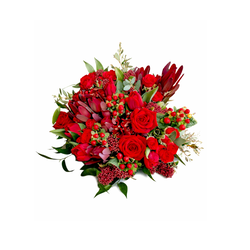 Ziedu pušķis, ugunīgais