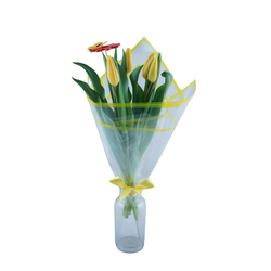 Tulpes, dzeltenas, 5gab.