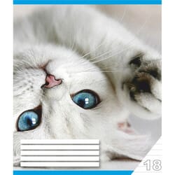 Burtnīca līniju, 18 lapas, Centrum