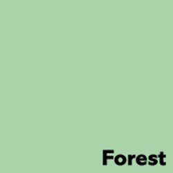 Krāsains papīrs A4 Image Coloraction Forest Pastel / gaiši zaļš, 80g/m², 50 loksnes