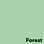 Krāsains papīrs A4 Image Coloraction Forest Pastel / gaiši zaļš, 80g/m², 50 loksnes (1)
