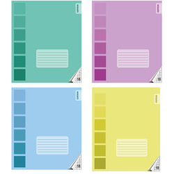 Burtnīca rūtiņu, 18 lapas, Centrum