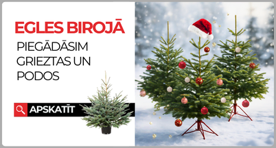 Egles sortimentā 2025 (home mini)